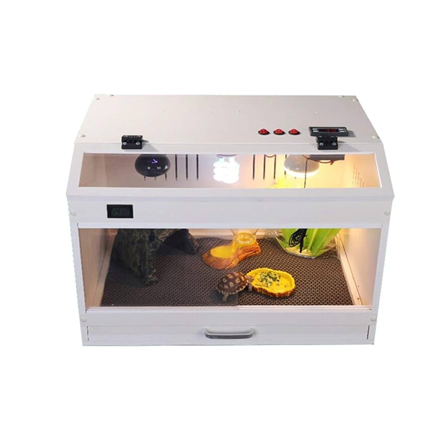 ガラス・プラスチック飼育ケースセット 10个 ローカル取引 ガラス・プラスチック飼育ケースセット 10个 ローカル取引